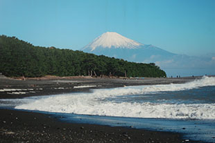 三保海岸